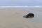 Muted beach colours at Porthtowan Cornwall UK