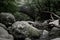 Muted Colors of The Bridge At Chimney Tops Picnic Area