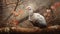 Muted Colors: A Photorealistic Still Life Of A Turkey On A Branch