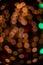 Muted colors of unfocused garland lights from Christmas lamps vertical photography holidays eve