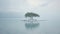 Muted And Dreamy: The Lone White Tree On A Remote Island