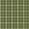 Muted green winter woven plaid texture. Seamless woolen scottish style plaid fabric cloth. Rustic classic checkered