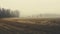Muted Palette: Foggy Field In Rural America With Golden Light