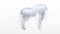 Muted Tonalities: A Trio Of Jellyfish On White Background