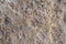Muti-colored and texture stone wall - background
