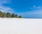 Muyuni white sand beach Unguja Zanzibar Island Tanzania East Africa