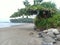 Muzhappilangad Drive-in Beach in Kannur, Kerala: A Peaceful Coastal Landscape Featuring Trees, Sky, and Sea.