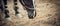 Muzzle black horse and foot in Knee-caps closeup
