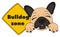 Muzzle of bulldog with road sign