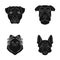 Muzzle of different breeds of dogs