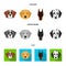 Muzzle of different breeds of dogs.Dog of the breed St. Bernard, golden retriever, Doberman, Dalmatian set collection