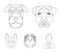 Muzzle of different breeds of dogs.Dog breed Stafford, Spitz, Risenschnauzer, German Shepherd set collection icons in