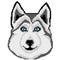 Muzzle dog breed Husky drawn squares, pixels. Portrait of a husky dog. Vector illustration