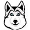 Muzzle dog breed Husky drawn squares, pixels. Portrait of a husky dog. Vector illustration