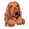 Muzzle dog breed Spaniel beige silhouette face, painted in squares, pixels. Silhouette breed Spaniel beige