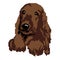 The muzzle of a dog breed Spaniel brown face silhouette, painted in squares, pixels. Brown Spaniel breed silhouette