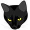 The muzzle of the evil black cat