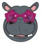 Muzzle of hippo in pink sunglasses