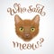 Muzzle of red cat with question: Who said meow?