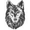 Muzzle of a wolf, wildlife hand drawn vector illustration realistic sketch