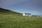 Mwnt, Ceredigion, Wales, 28th July 2020, a View of the Holy Cross Church on the headland