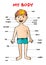 My body`, educational info graphic chart for kids