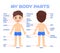 My Body Parts and a Pretty Boy. Front and Back View, Kid. Education, Science, Anatomy for Children. Poster for medical design with