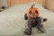 My first Halloween. Small child and pumpkin. Autumn concept, halloween, bats, pumpkins, newborn close-up and copy space