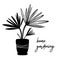 My hobby is home gardening, potted plant silhouette. Hand drawn date palm