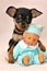 My Little Friend - Russkiy toy dog with baby toy