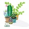 My little garden. Flat vector illustration. Succulent, cactus, lavender nd other green home plants.