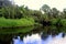 Myakka River State Park Landscape Florida