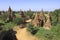 Myanmar, Bagan: general panorama