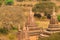 Myanmar. Bagan. Landscape pagodas