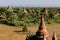 Myanmar (Burma), Bagan Temple\'s