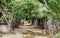 Myanmar Burma. Street in the authentic village, dirt road and lush greens of the tropics.