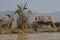 Myanmar Inle lake palm tree floating house