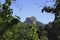 Myanmar, mount popa or popa hill