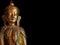 Myanmar, Pindaya: 8000 buddha\'s cave