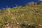 Mycenae, Ruins of Citadel