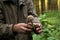 Mycologist demonstrates and talks about various forest mushrooms