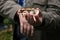 Mycologist demonstrates and talks about various forest mushrooms