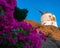 Mykonos Windmill and Purple Flowers