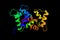 Myosin light chain kinase 2, an enzyme exclusively expressed in