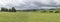 Myriad of sheeps on green meadows , near Whakarewarewa, Waikato, New Zealand