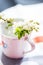 Myrobalan plum flowers in a small mug