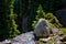 Myrtle Falls on Mt. Rainier at the Paradise areas, as a nature background