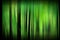 Mysterious Abstract Blurry Green Forest