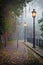 The mysterious alleyway in foggy autumn time