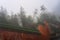 The mysterious ancient building complex of Wudang Mountain in the fog.